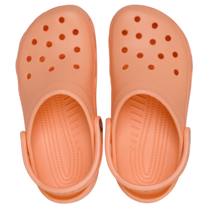Classic Clog - Electric Sunstone