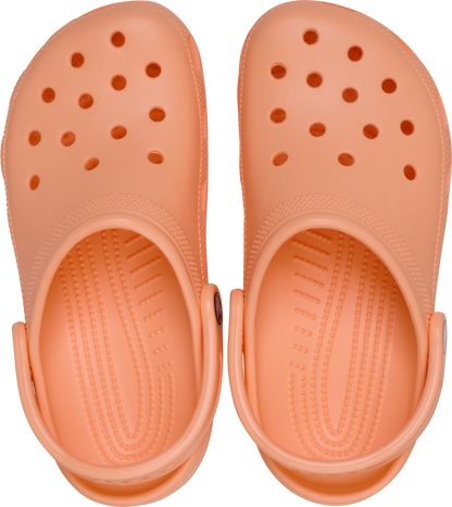 Classic Clog - Electric Sunstone
