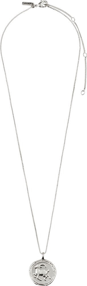 Capricorn Zodiac Sign Necklace - Silver Plated - Crystal