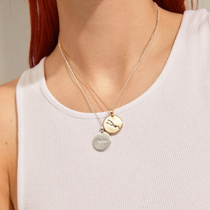 Capricorn Zodiac Sign Necklace - Silver Plated - Crystal