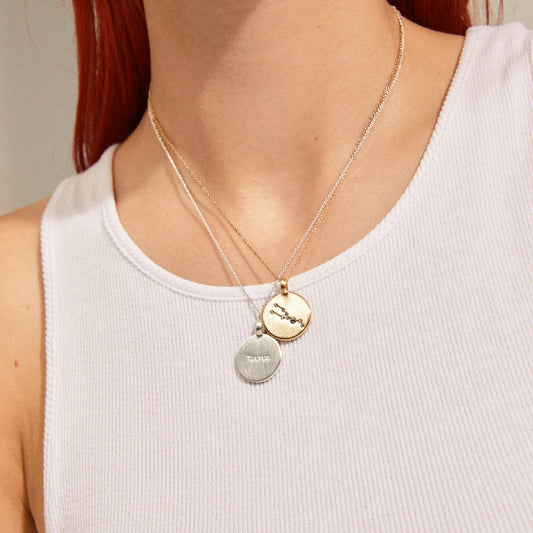 Capricorn Zodiac Sign Necklace - Silver Plated - Crystal