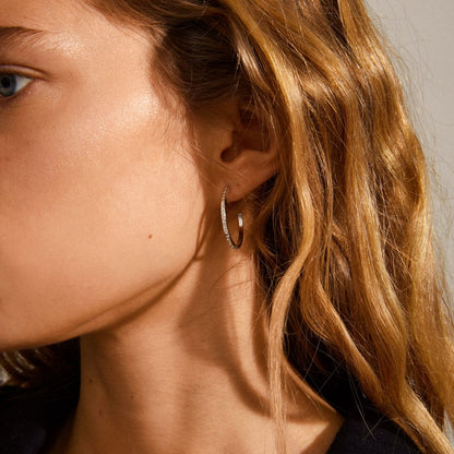 Roberta Pi Earrings - Silver Plated Crystal - 25mm