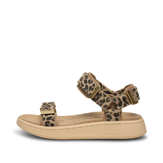 Woden Line Suede